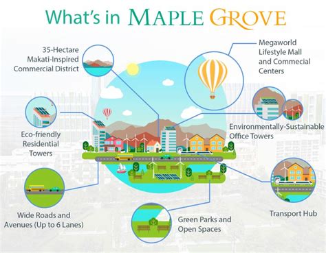 Magic needle maple grove infographics